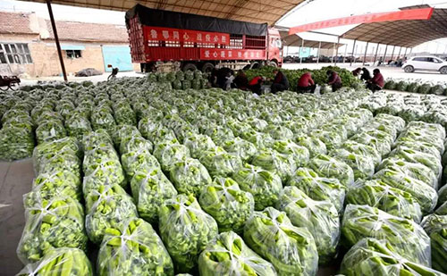 我是湖南長沙蔬菜批發(fā)市場，買多少錢的農(nóng)藥殘留檢測儀合適？