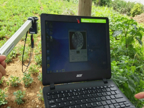 植物冠層圖像分析儀可以測量什么？
